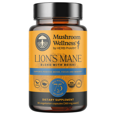 LION'S MANE BLEND W/ REISHI